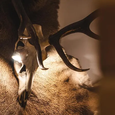 U Danusi Kwatera prywatna Groń