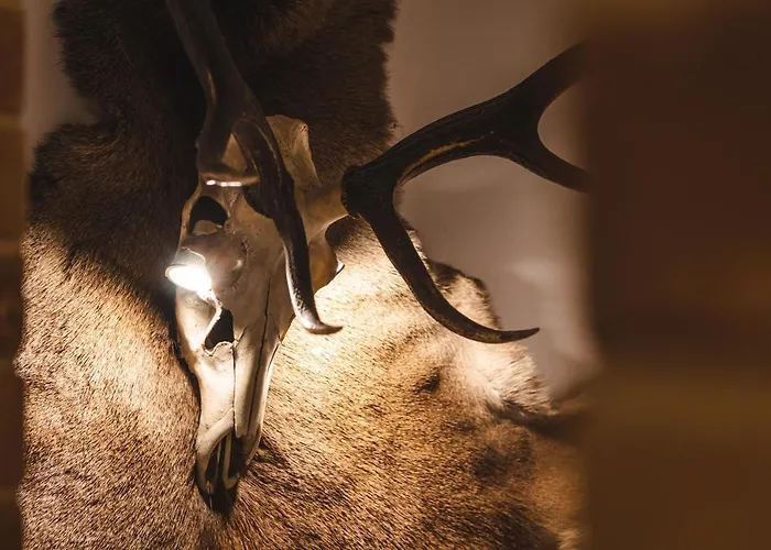 U Danusi בית אירוח Groń